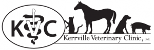 Welcome to Kerrville Veterinary Clinic Ltd