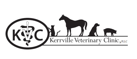 Kerrville Veterinary Clinic PLLC